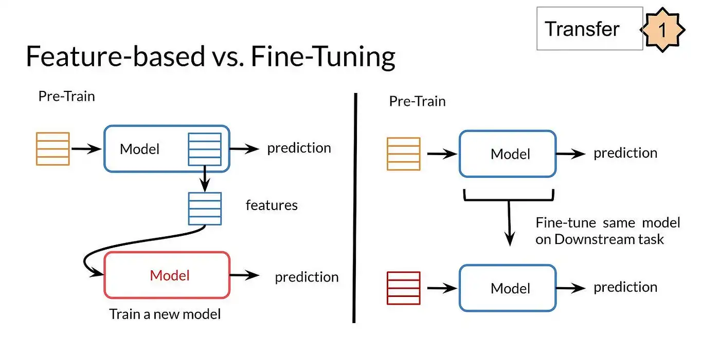 Model Fine tuning fundamentals