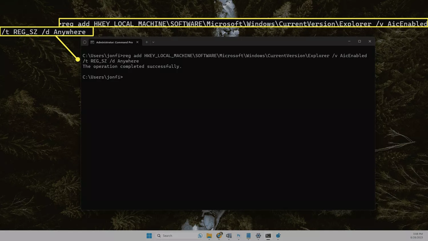 A reg add command highlighted in the Windows 11 Command Prompt.